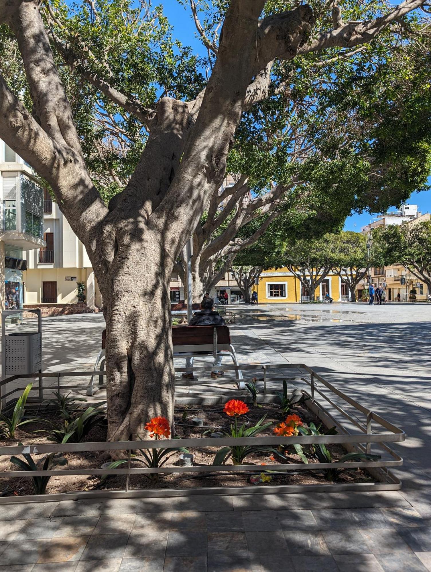 2 Bedroom Algorfa Townhouse With Pool Castillo de Montemar Exteriör bild